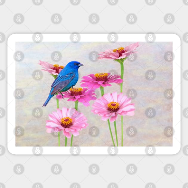 Indigo Bunting and Pink Zinnia Sticker by lauradyoung